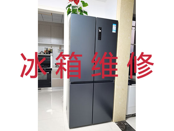 天津专业冰箱冰柜安装